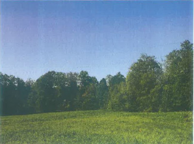 Syndyk sprzeda kompleks działek rolnych - Roczyny  -
małopolskie Zdjęcie nr 2