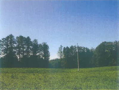 Syndyk sprzeda kompleks działek rolnych - Roczyny  -
małopolskie Zdjęcie nr 3