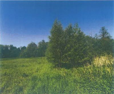 Syndyk sprzeda kompleks działek rolnych - Roczyny  -
małopolskie Zdjęcie nr 7