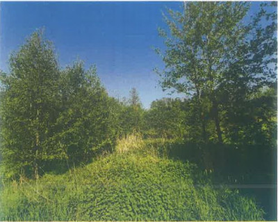 Syndyk sprzeda kompleks działek rolnych - Roczyny  -
małopolskie Zdjęcie nr 8