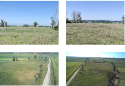 Syndyk sprzeda działkę rolną - Grzybiany  -
dolnośląskie Zdjęcie nr 5
