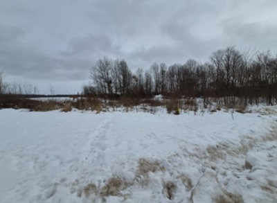 Syndyk sprzeda działkę rolną - Polanówka  -
lubelskie Zdjęcie nr 2