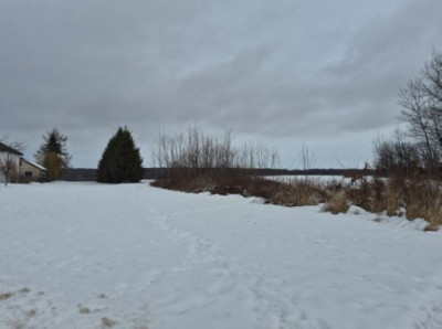 Syndyk sprzeda działkę rolną - Polanówka  -
lubelskie Zdjęcie nr 3