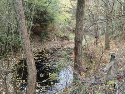 Syndyk sprzeda działkę niezabudowaną - Kierzkowo  -
pomorskie Zdjęcie nr 2