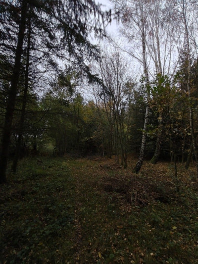 Syndyk sprzeda działkę niezabudowaną - Kierzkowo  -
pomorskie Zdjęcie nr 3