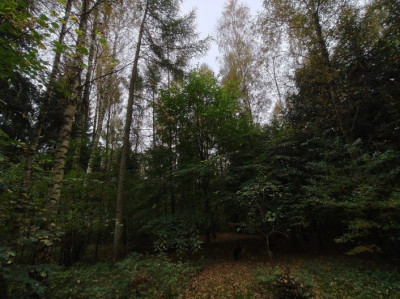 Syndyk sprzeda działkę niezabudowaną - Kierzkowo  -
pomorskie Zdjęcie nr 5