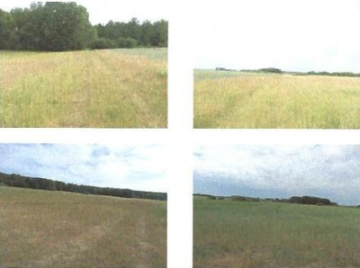 Syndyk sprzeda udział w działce rolnej za 40 ceny - Sierakowo  -
zachodniopomorskie Zdjęcie nr 2