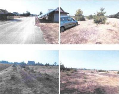 Syndyk sprzeda działkę rolną - Rogowo  -
kujawsko-pomorskie Zdjęcie nr 3
