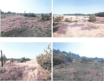 Syndyk sprzeda działkę rolną - Rogowo  -
kujawsko-pomorskie Zdjęcie nr 4