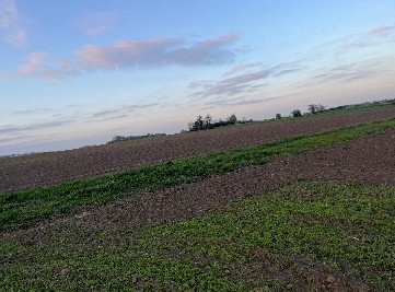 Działkę rolną i udział w działce stanowiącej drogę wewnętrzną - Szczepankowice  -
dolnośląskie Zdjęcie nr 10