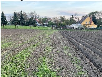 Działkę rolną i udział w działce stanowiącej drogę wewnętrzną - Szczepankowice  -
dolnośląskie Zdjęcie nr 2