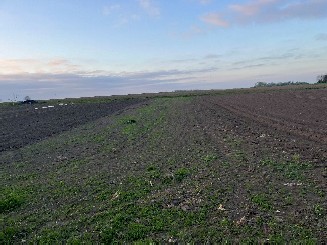 Działkę rolną i udział w działce stanowiącej drogę wewnętrzną - Szczepankowice  -
dolnośląskie Zdjęcie nr 3