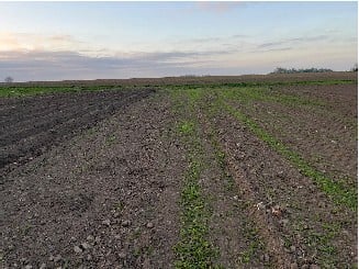 Działkę rolną i udział w działce stanowiącej drogę wewnętrzną - Szczepankowice  -
dolnośląskie Zdjęcie nr 4