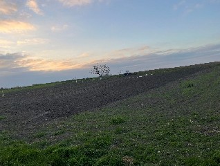 Działkę rolną i udział w działce stanowiącej drogę wewnętrzną - Szczepankowice  -
dolnośląskie Zdjęcie nr 7