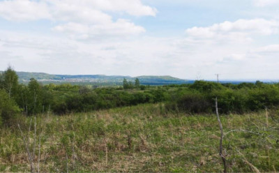 Syndyk sprzeda udział w działce - Żarki  -
małopolskie Zdjęcie nr 2