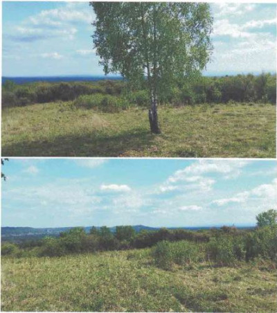 Syndyk sprzeda udział w działce - Żarki  -
małopolskie Zdjęcie nr 5