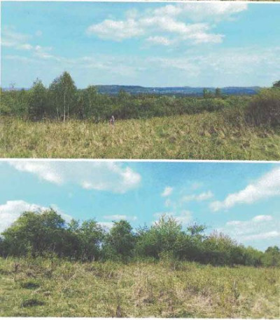 Syndyk sprzeda udział w działce - Żarki  -
małopolskie Zdjęcie nr 7