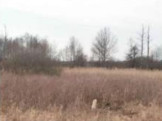 Syndyk sprzeda udział w 12 kopleksu działek - Klamy  -
mazowieckie Zdjęcie nr 9