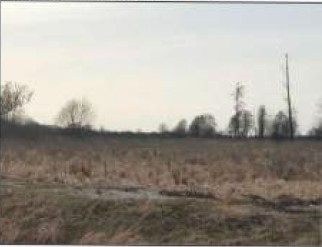 Syndyk sprzeda udział w 12 kopleksu działek - Klamy  - mazowieckie