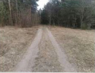 Syndyk sprzeda udział w 12 kopleksu działek - Klamy  -
mazowieckie Zdjęcie nr 2