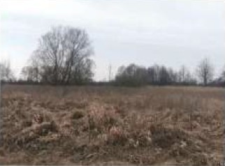 Syndyk sprzeda udział w 12 kopleksu działek - Klamy  -
mazowieckie Zdjęcie nr 8