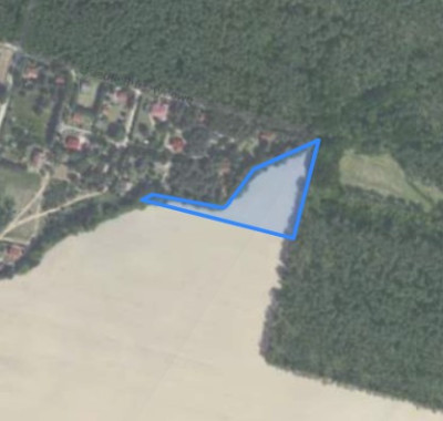 Syndyk sprzeda kompleks działek częściowo zalesiony - Bukowiec  - wielkopolskie