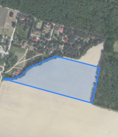 Syndyk sprzeda kompleks działek częściowo zalesiony - Bukowiec  -
wielkopolskie Zdjęcie nr 2