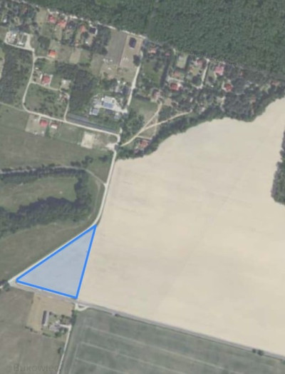 Syndyk sprzeda kompleks działek częściowo zalesiony - Bukowiec  -
wielkopolskie Zdjęcie nr 4