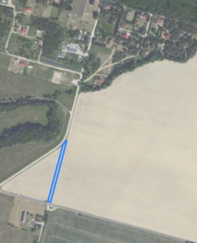 Syndyk sprzeda kompleks działek częściowo zalesiony - Bukowiec  -
wielkopolskie Zdjęcie nr 5