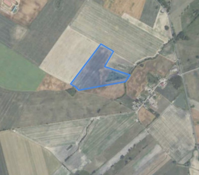 Syndyk sprzeda kompleks działek rolnych - Brzeźno Stare  - wielkopolskie