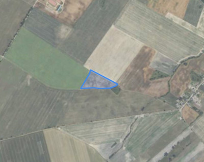 Syndyk sprzeda kompleks działek rolnych - Brzeźno Stare  -
wielkopolskie Zdjęcie nr 2
