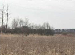 Syndyk sprzeda udział w 12 kompleksu działek - Wyśmierzyce  -
mazowieckie Zdjęcie nr 12