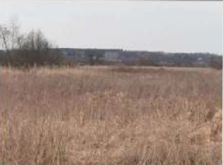Syndyk sprzeda udział w 12 kompleksu działek - Wyśmierzyce  -
mazowieckie Zdjęcie nr 13