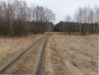 Syndyk sprzeda udział w 12 kompleksu działek - Wyśmierzyce  -
mazowieckie Zdjęcie nr 3