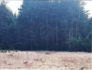 Syndyk sprzeda udział w 12 kompleksu działek - Wyśmierzyce  -
mazowieckie Zdjęcie nr 7