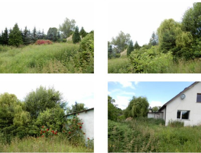Syndyk sprzeda udział 12 w siedlisku i działkach rolnych - Sokolniki  -
zachodniopomorskie Zdjęcie nr 11