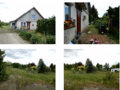 Syndyk sprzeda udział 12 w siedlisku i działkach rolnych - Sokolniki  -
zachodniopomorskie Zdjęcie nr 8