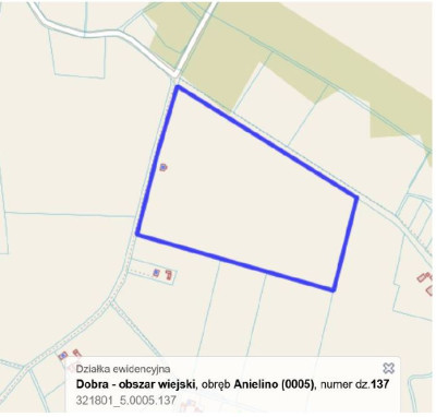 Syndyk sprzeda kompleks działek częściowo zabudowany budynkiem mieszkalnym - Anielino  -
zachodniopomorskie Zdjęcie nr 2