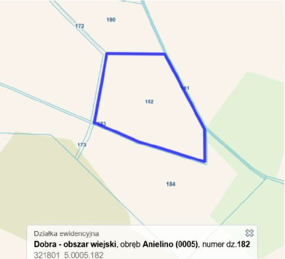 Syndyk sprzeda kompleks działek częściowo zabudowany budynkiem mieszkalnym - Anielino  -
zachodniopomorskie Zdjęcie nr 3