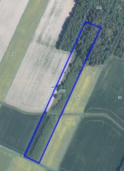 Syndyk sprzeda 12 udziału w działce - Parcewo  -
podlaskie Zdjęcie nr 2