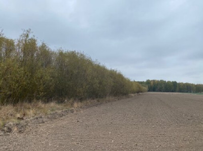 Syndyk sprzeda 12 udziału w działce - Parcewo  -
podlaskie Zdjęcie nr 5