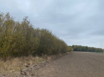 Syndyk sprzeda 12 udziału w działce - Parcewo  -
podlaskie Zdjęcie nr 6
