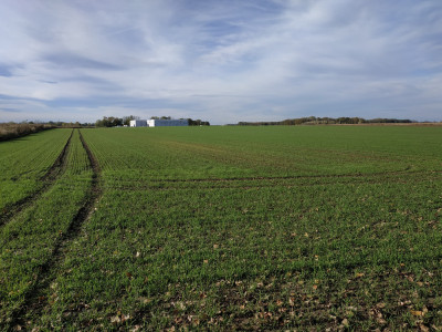 Syndyk sprzeda kompleks działek - Wierzbice  -
dolnośląskie Zdjęcie nr 9