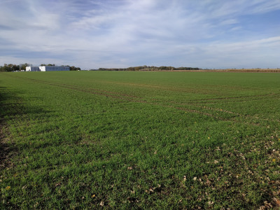 Syndyk sprzeda kompleks działek - Wierzbice  -
dolnośląskie Zdjęcie nr 10