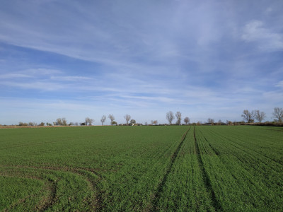 Syndyk sprzeda kompleks działek - Wierzbice  -
dolnośląskie Zdjęcie nr 13