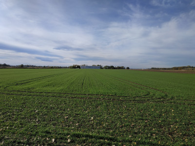 Syndyk sprzeda kompleks działek - Wierzbice  -
dolnośląskie Zdjęcie nr 6