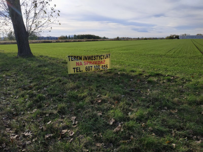 Syndyk sprzeda kompleks działek - Wierzbice  -
dolnośląskie Zdjęcie nr 7