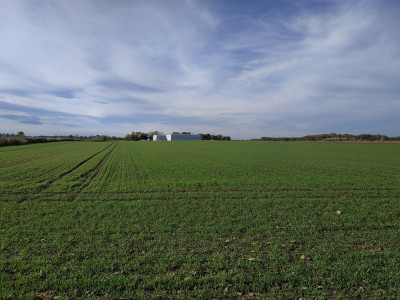 Syndyk sprzeda kompleks działek - Wierzbice  -
dolnośląskie Zdjęcie nr 8