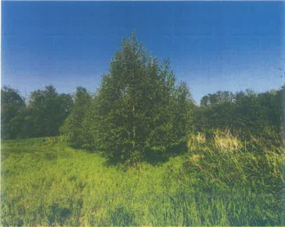 Syndyk sprzeda kompleks działek rolnych - Roczyny  -
małopolskie Zdjęcie nr 4