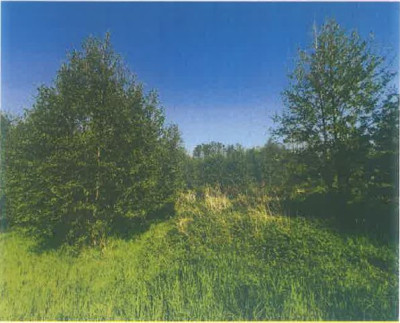 Syndyk sprzeda kompleks działek rolnych - Roczyny  -
małopolskie Zdjęcie nr 5